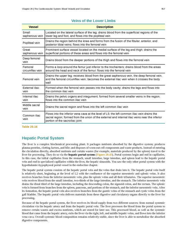 Anatomy & Physiology - 