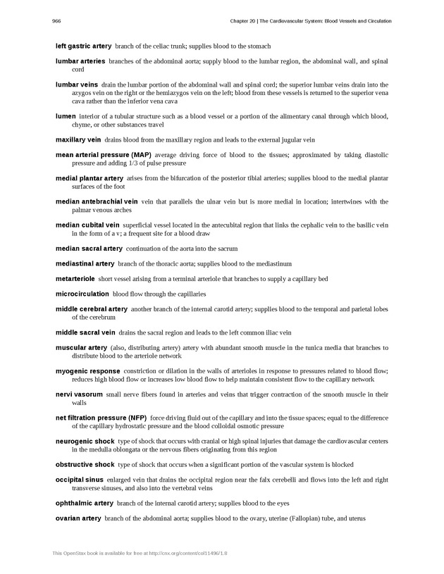 Anatomy & Physiology - 