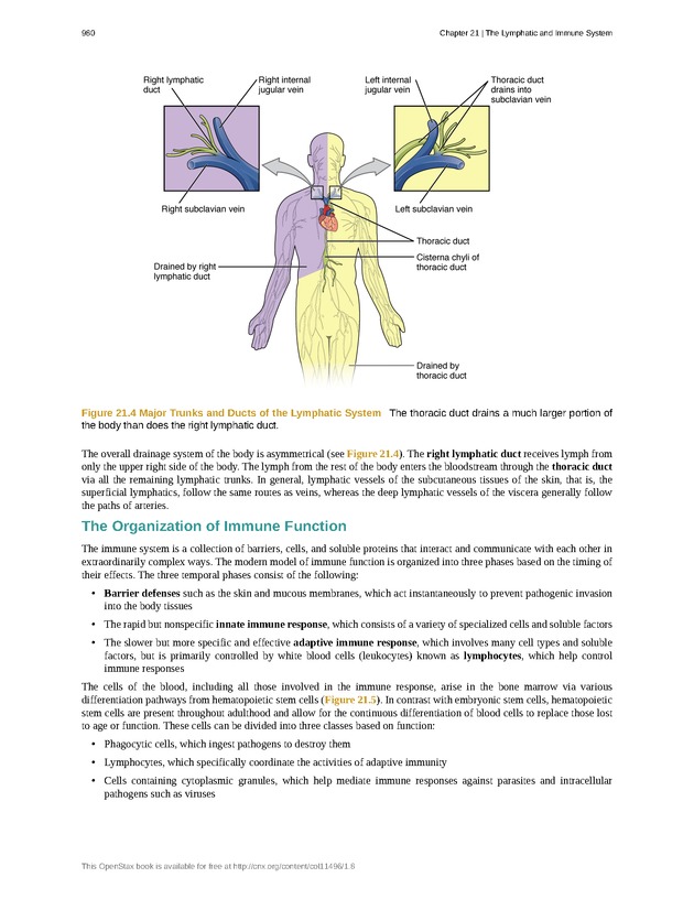 Anatomy & Physiology - 