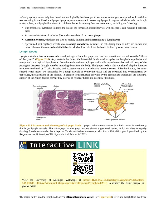Anatomy & Physiology - 
