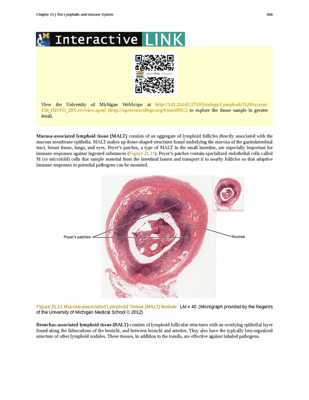 Anatomy & Physiology - 