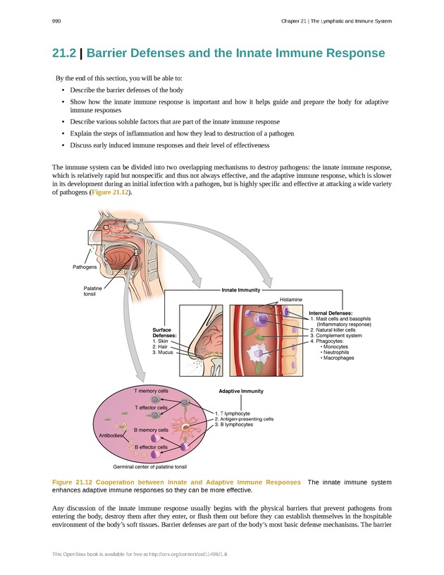 Anatomy & Physiology - 