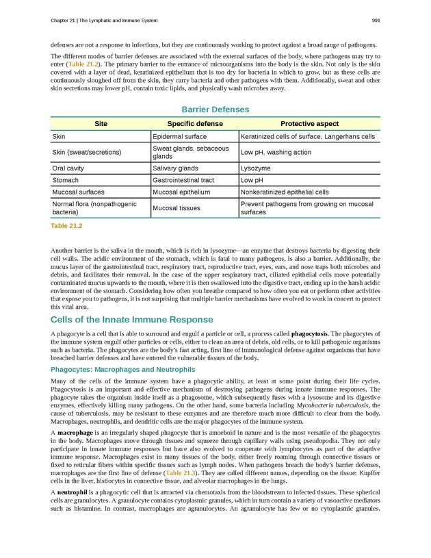Anatomy & Physiology - 