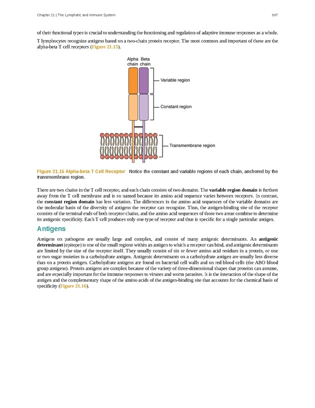 Anatomy & Physiology - 