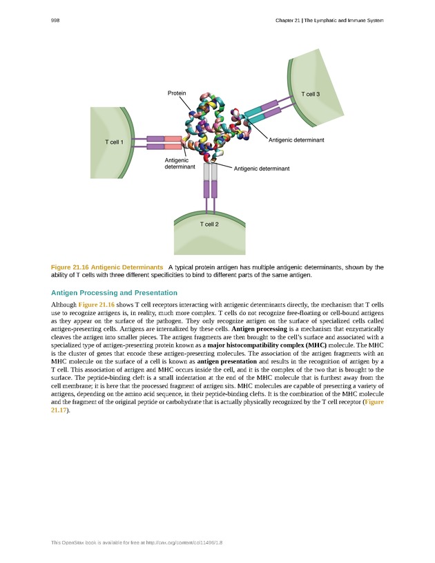 Anatomy & Physiology - 