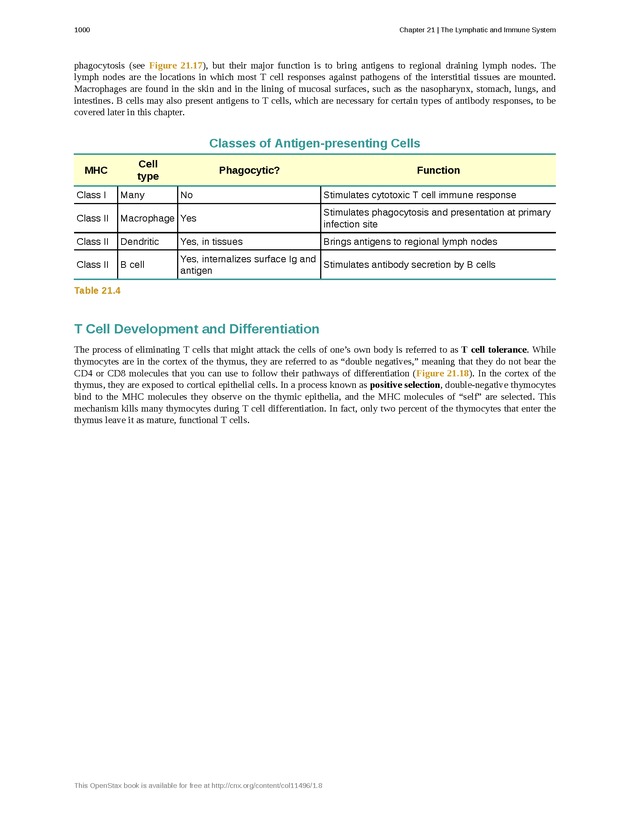 Anatomy & Physiology - 