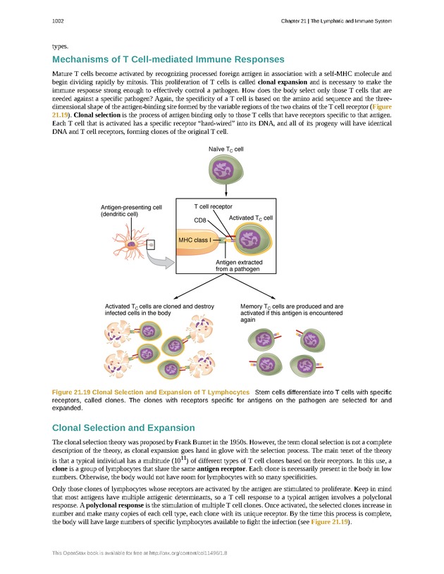 Anatomy & Physiology - 