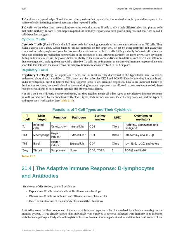Anatomy & Physiology - 