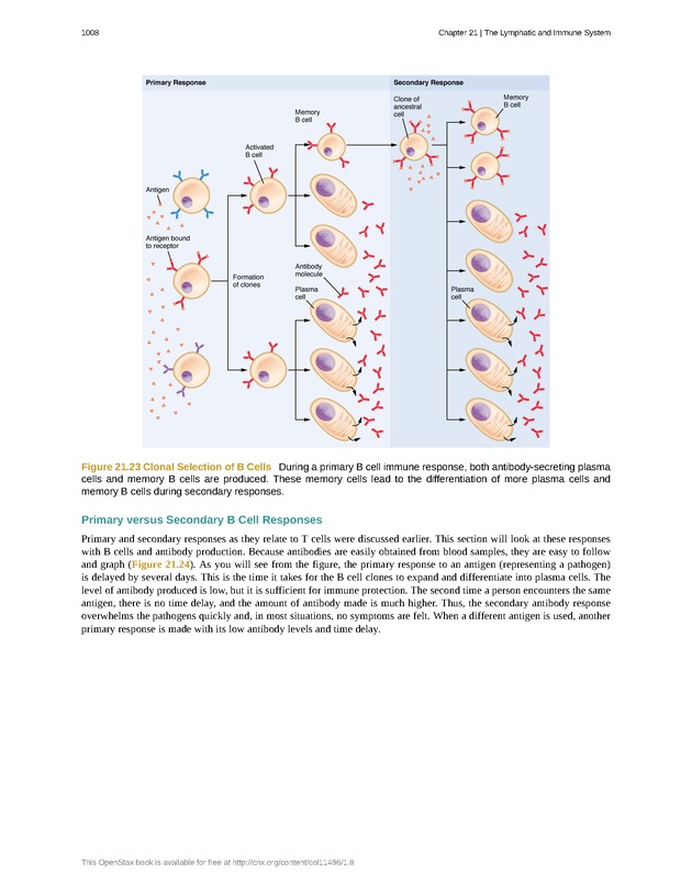 Anatomy & Physiology - 