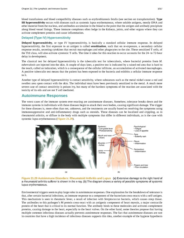 Anatomy & Physiology - 