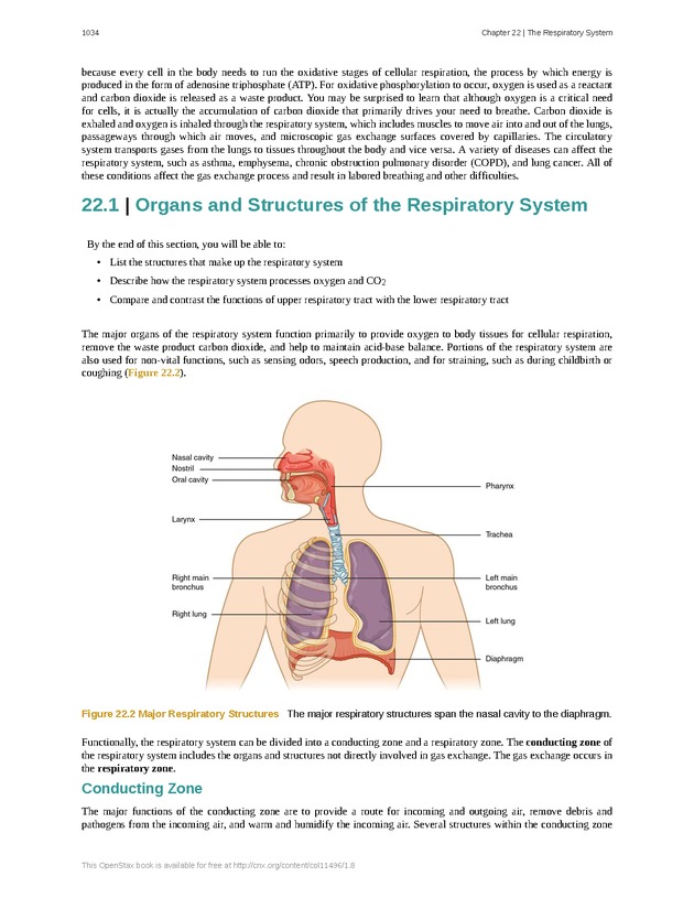 Anatomy & Physiology - 