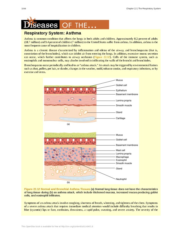 Anatomy & Physiology - 