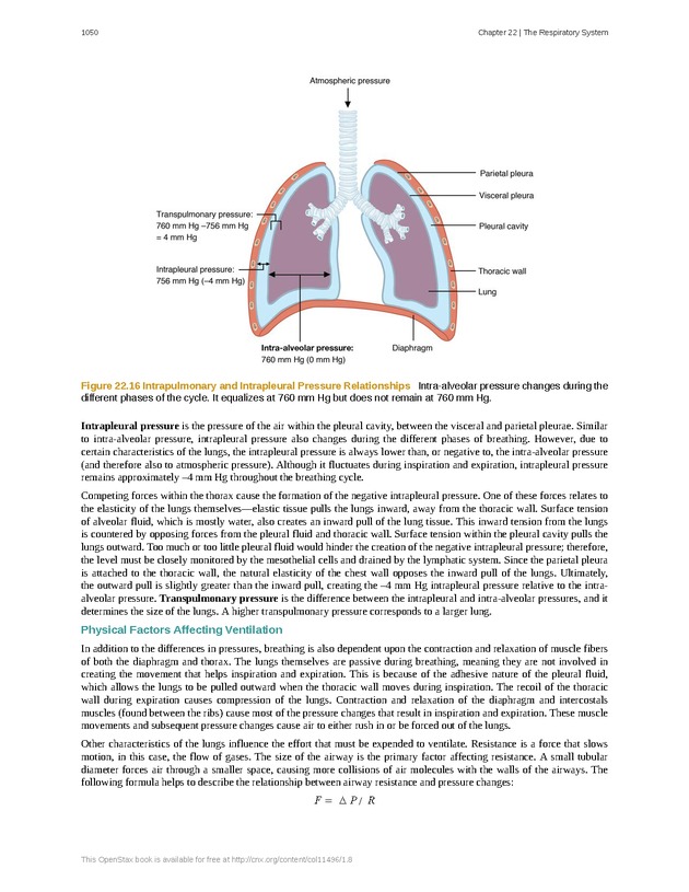 Anatomy & Physiology - 