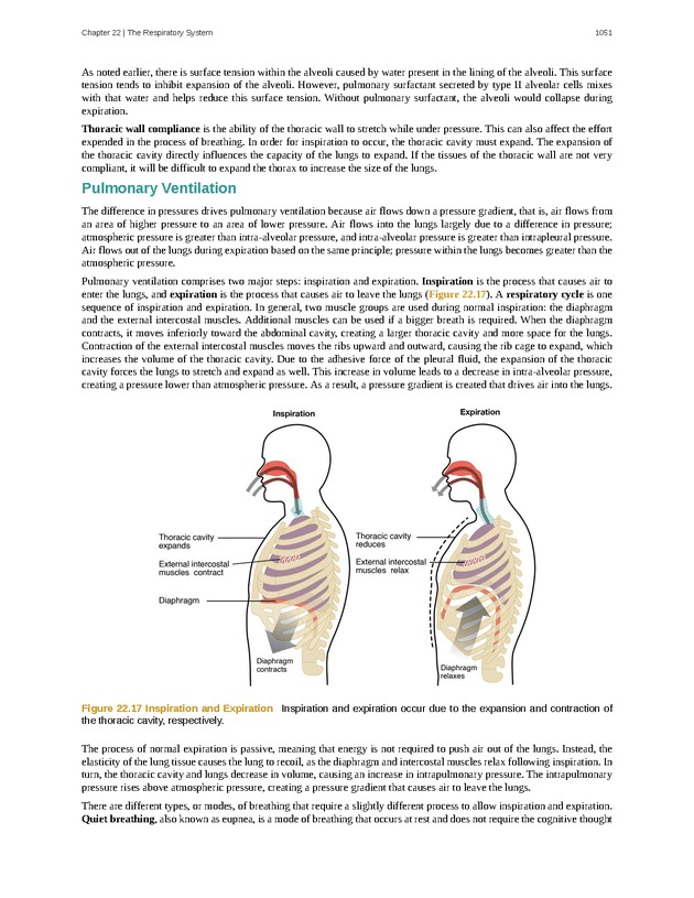 Anatomy & Physiology - 