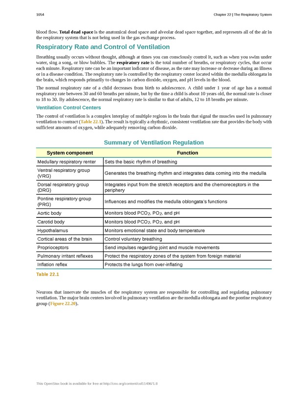 Anatomy & Physiology - 