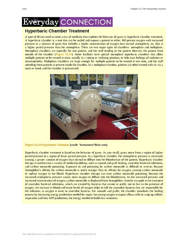 Anatomy & Physiology - 