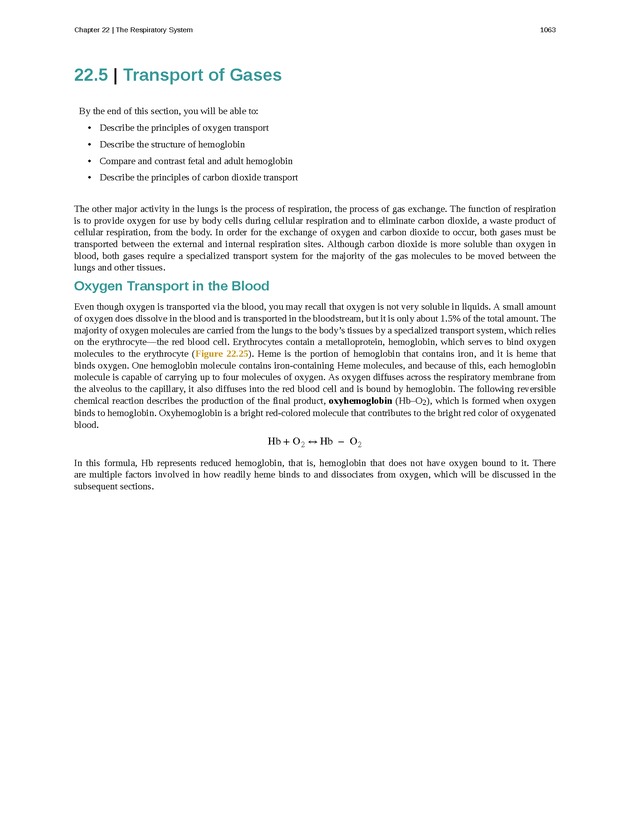 Anatomy & Physiology - 