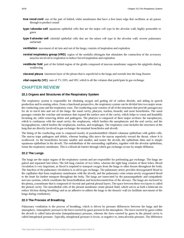 Anatomy & Physiology - 