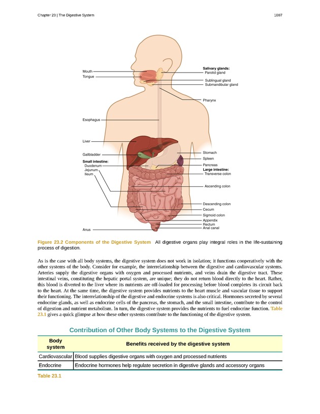 Anatomy & Physiology - 