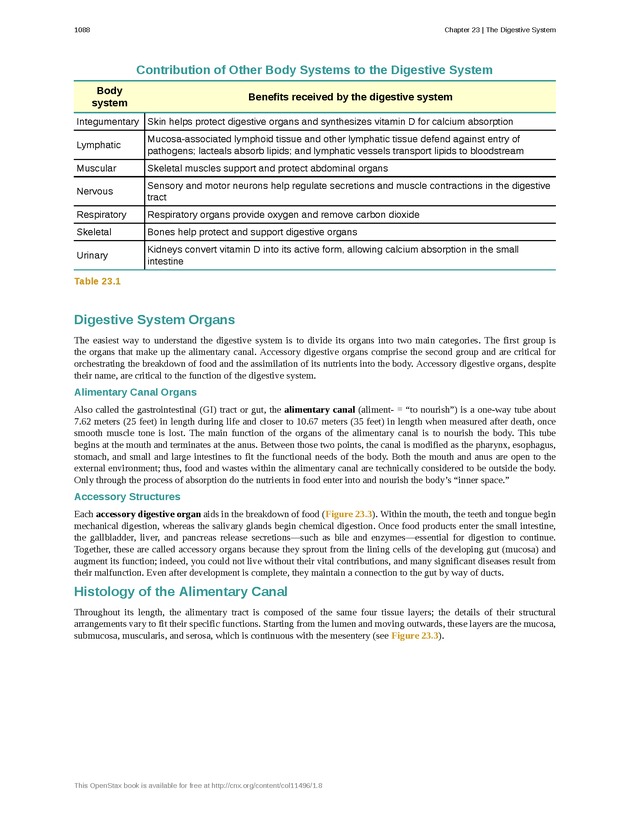 Anatomy & Physiology - 
