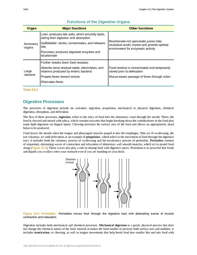 Anatomy & Physiology - 