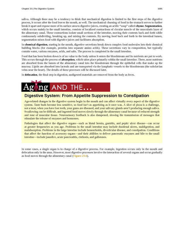 Anatomy & Physiology - 