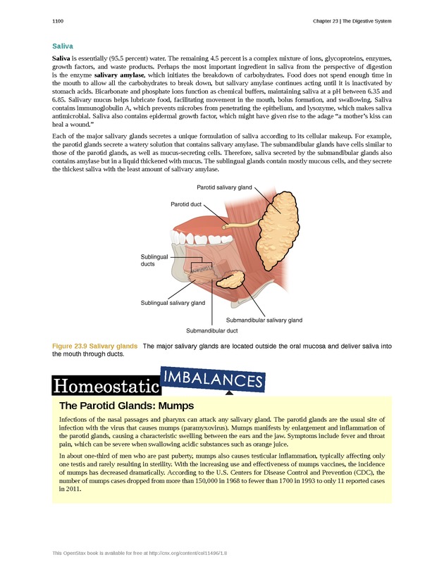 Anatomy & Physiology - 
