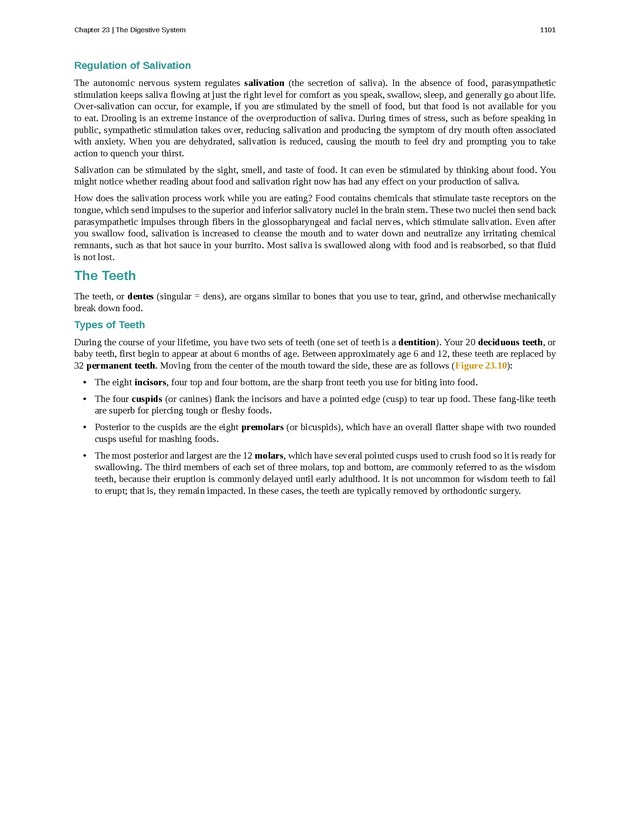 Anatomy & Physiology - 