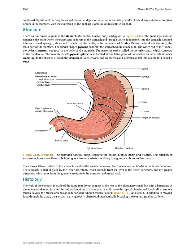 Anatomy & Physiology - 