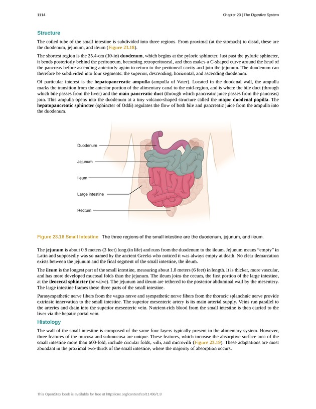 Anatomy & Physiology - 