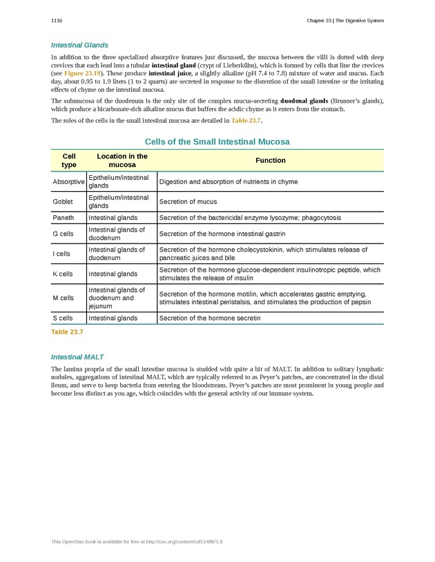 Anatomy & Physiology - 