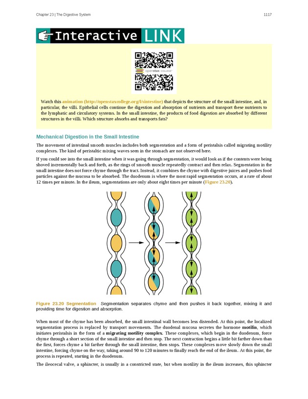 Anatomy & Physiology - 
