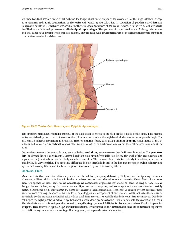 Anatomy & Physiology - 