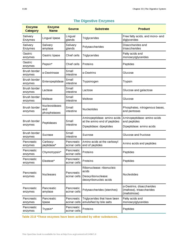Anatomy & Physiology - 