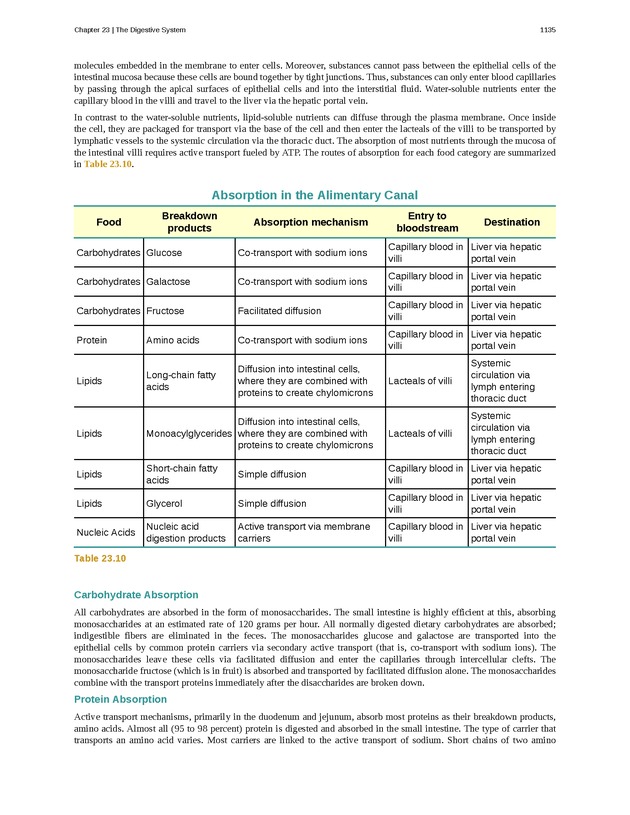 Anatomy & Physiology - 