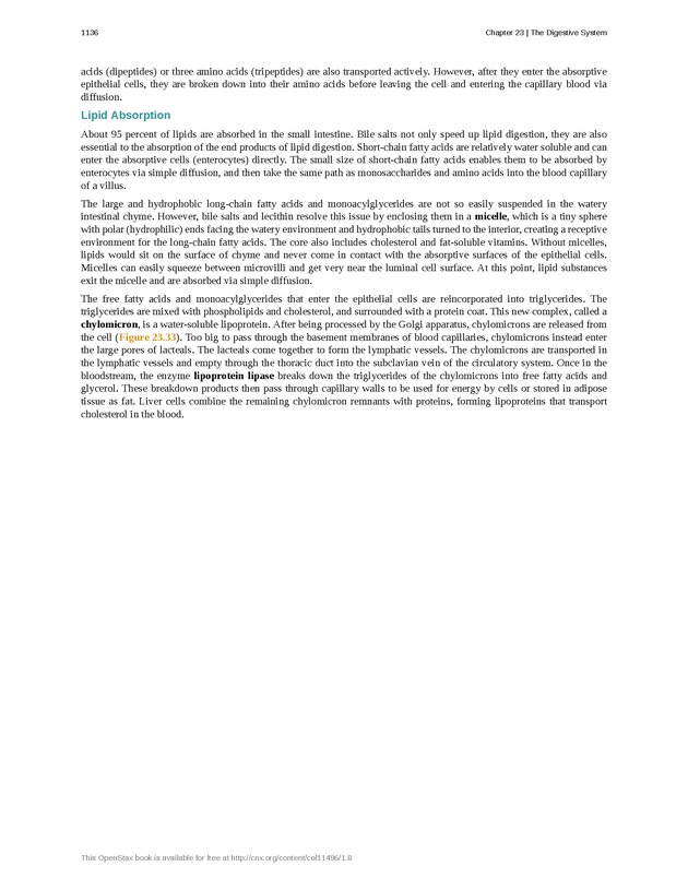 Anatomy & Physiology - 