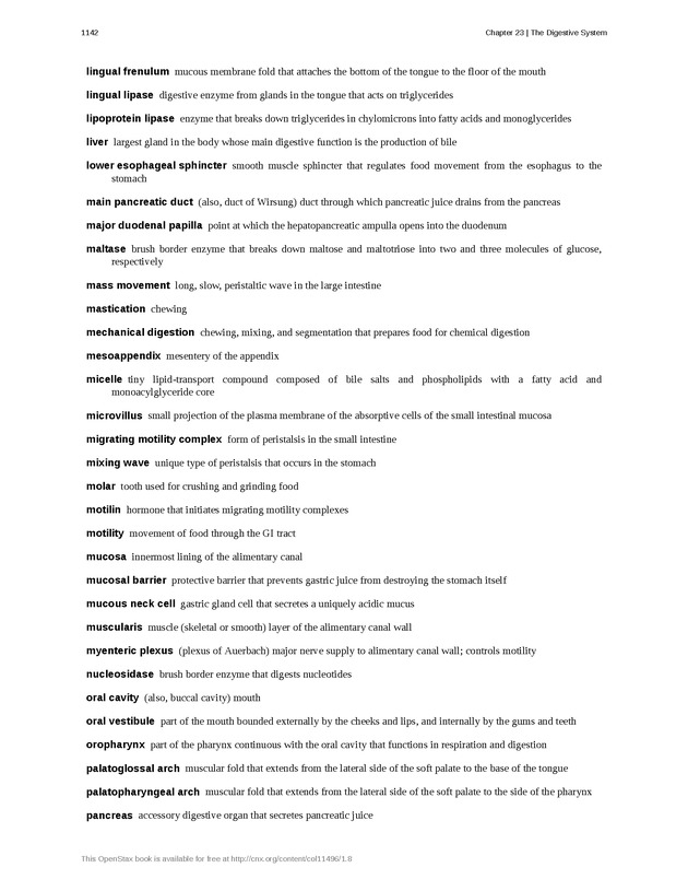 Anatomy & Physiology - 