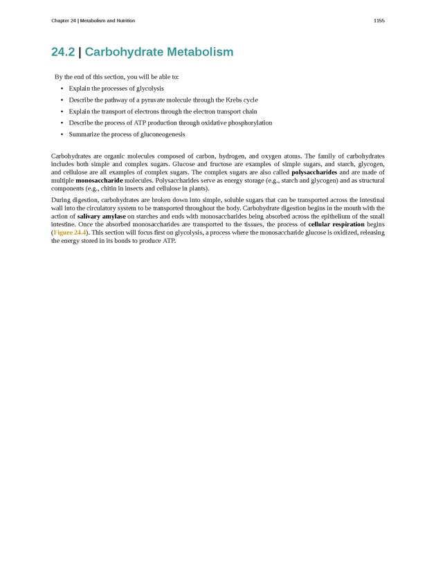 Anatomy & Physiology - 