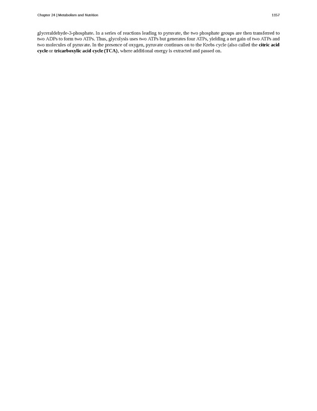 Anatomy & Physiology - 