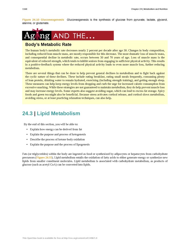 Anatomy & Physiology - 