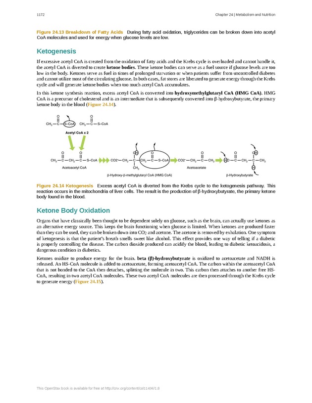 Anatomy & Physiology - 
