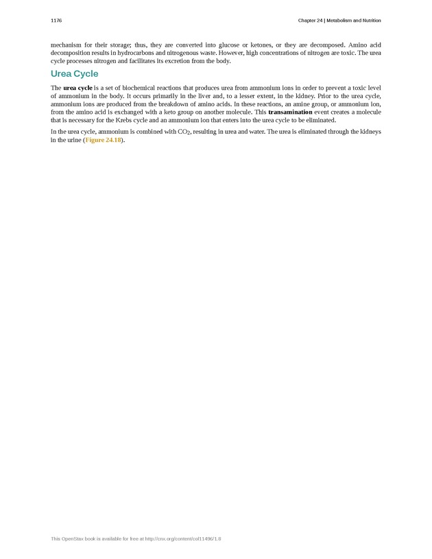 Anatomy & Physiology - 
