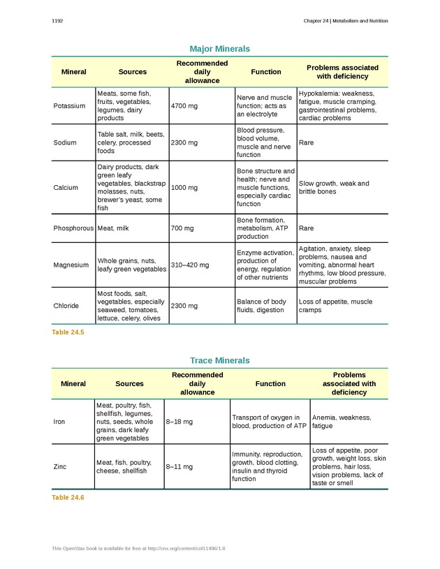 Anatomy & Physiology - 