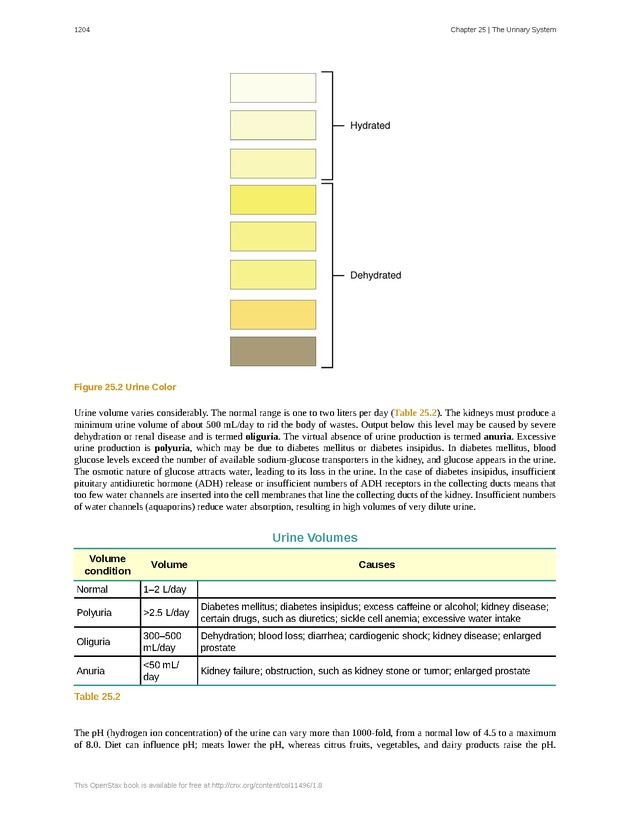 Anatomy & Physiology - 
