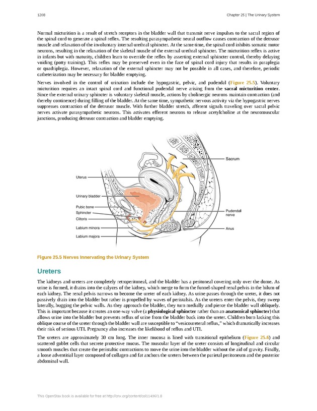 Anatomy & Physiology - 
