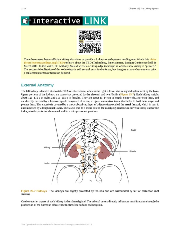 Anatomy & Physiology - 