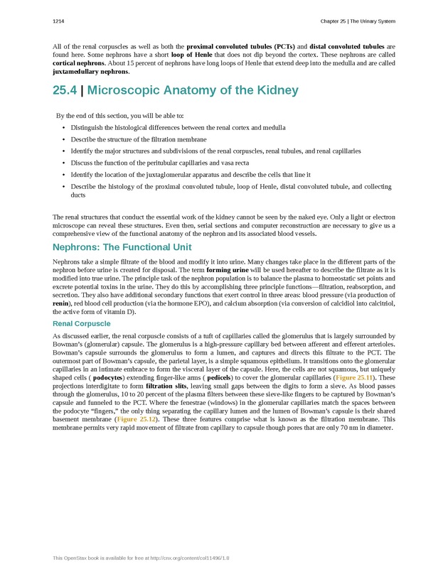 Anatomy & Physiology - 
