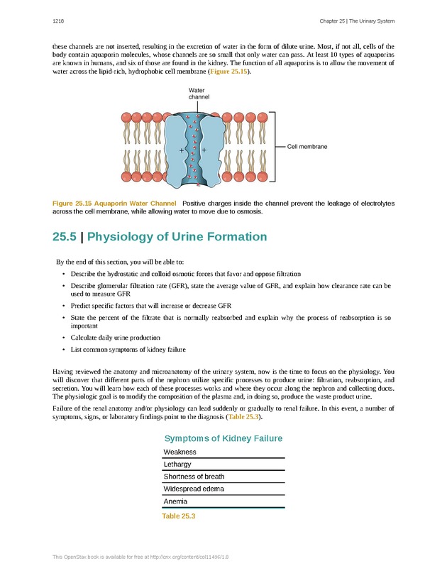 Anatomy & Physiology - 