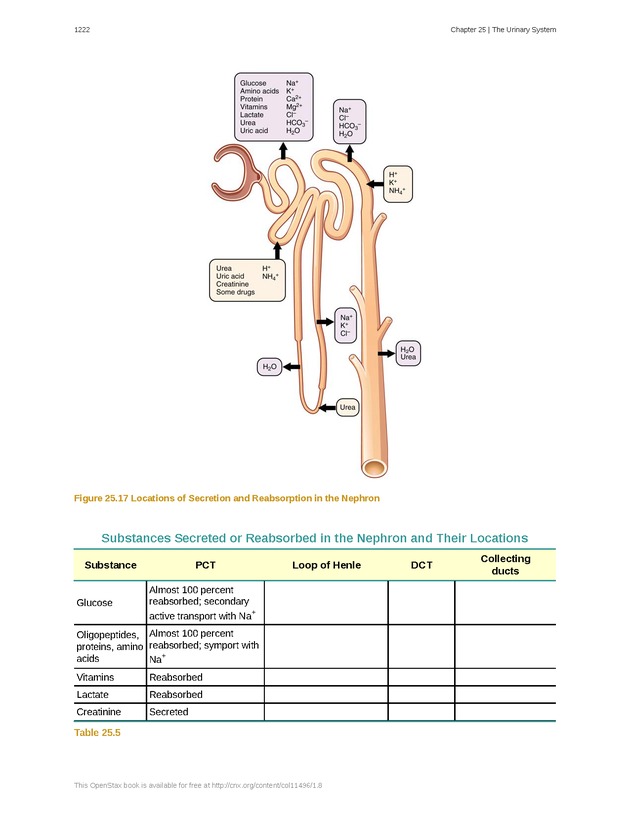 Anatomy & Physiology - 