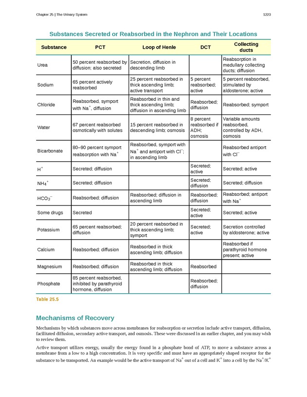 Anatomy & Physiology - 